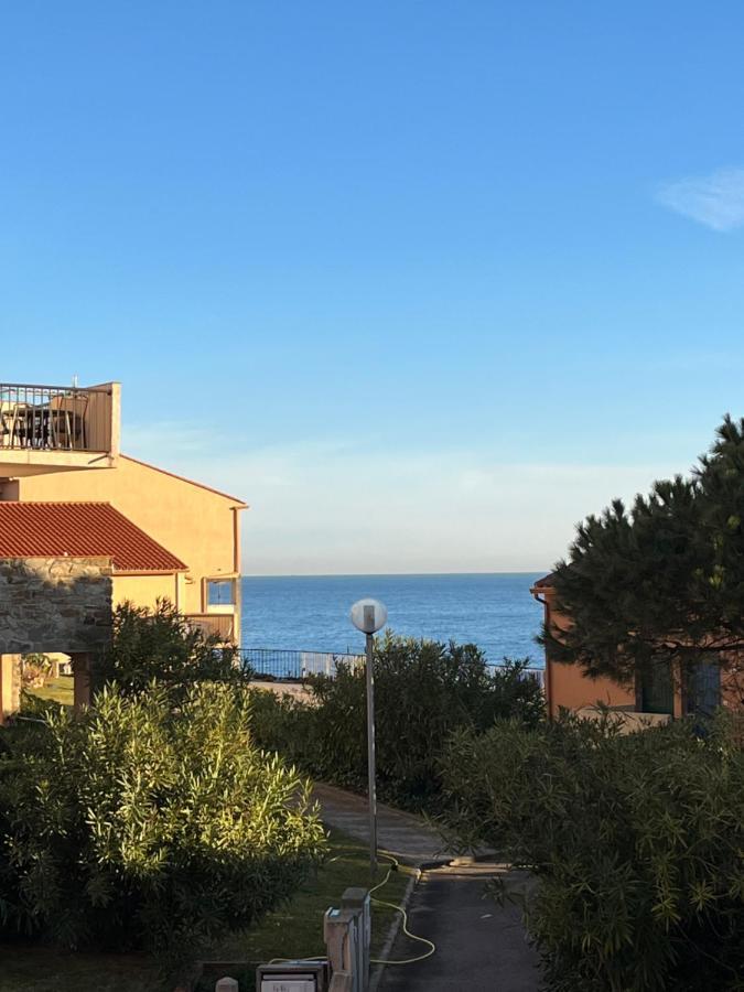 Appartement Les Pieds dans l'eau Collioure Extérieur photo