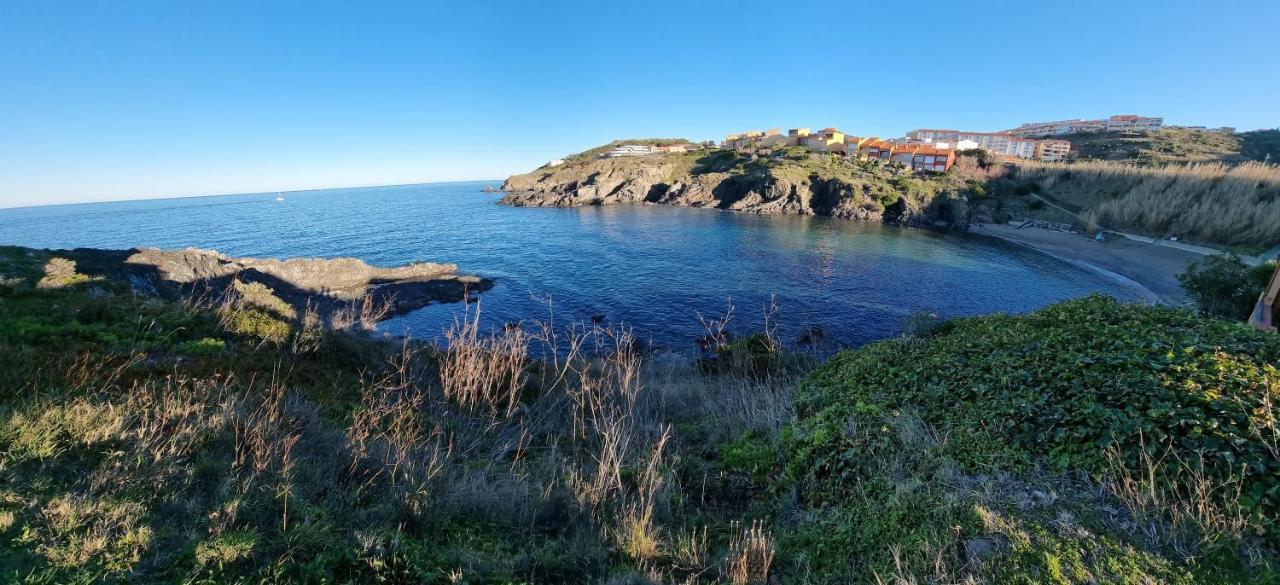 Appartement Les Pieds dans l'eau Collioure Extérieur photo